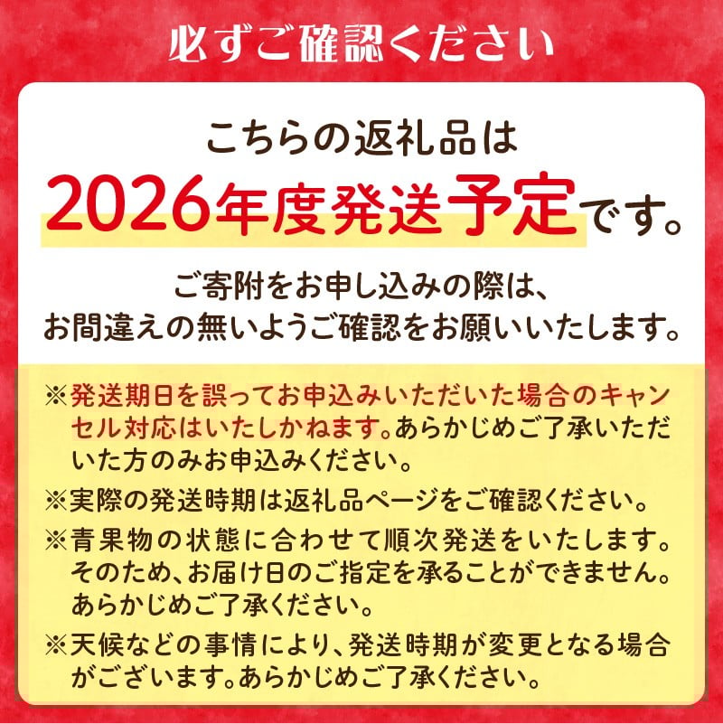 《先行受付》訳ありこうとく約4.5kg【2026年11月上旬～発送予定】【大江町産・山形りんご・りんご専科 清野】