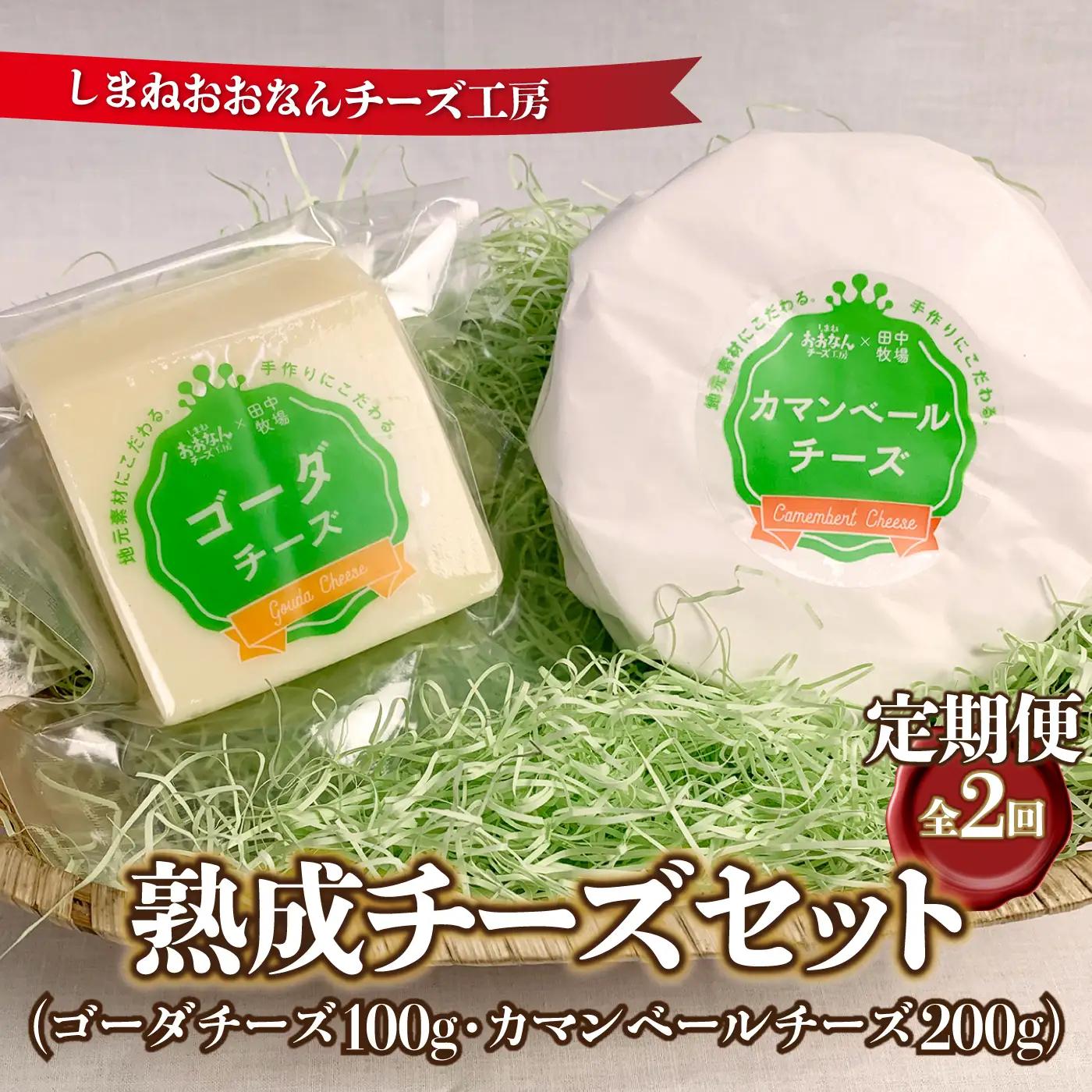 【定期便2回】熟成チーズセット（ ゴーダチーズ100g・カマンベールチーズ200g）