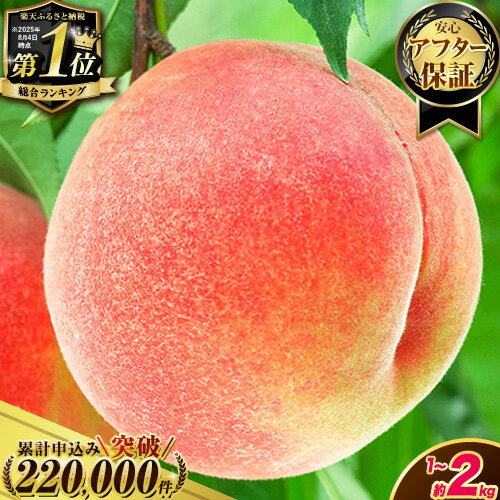 先行予約 桃 もも 和歌山県産 約2kg