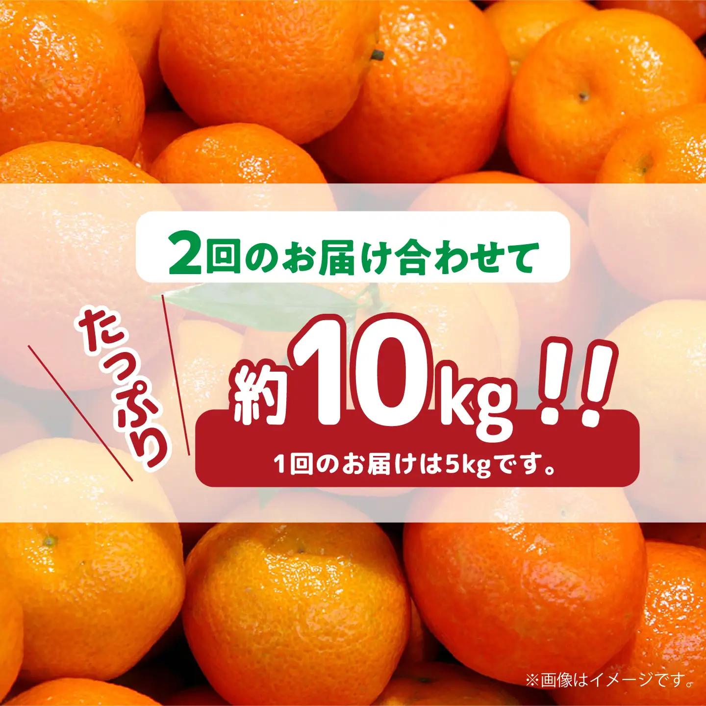 【2026年12月-発送】【2回定期便】温州みかん 約5kg（傷もの）みかん / 南島原果物屋 [SCV018]