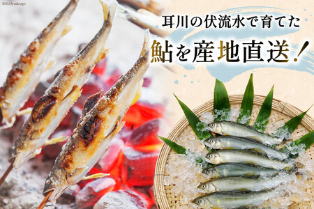 鮎 冷凍 こだわりの鮎 約1kg あゆ [452060794]