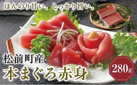 【天然】 超低温冷凍 松前町産本まぐろ赤身 | 280g (約140g×2) 冷凍 | 柵 新鮮 刺身 海鮮丼 マグロ丼 | 北海道 松前町 送料無料 MATK024