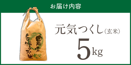 【2026年10月より順次発送】福岡県産ブランド米元気つくし 玄米 5kg【令和8年産 新米】 _  元気つくし 5kg 福岡県産 ブランド米 新米 福岡生まれ 品種 香り豊か ふっくら 食感 ご飯 