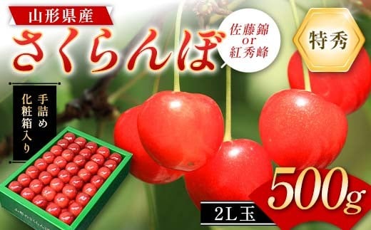 さくらんぼ (佐藤錦or紅秀峰) 500g 2L玉 特秀 手詰めギフト 山形県産 化粧箱入り 【令和8年度 先行予約】 FSY-2262