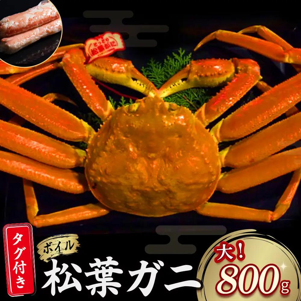【先行予約】【魚倉】タグ付き ボイル 松葉ガニ（大800g） かに 蟹 カニ