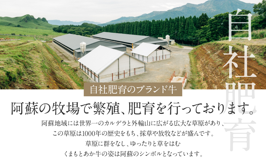 あか牛バラ切り落としセット (あか牛バラスライス500g、あか牛のたれ200ml付き)_イメージ3
