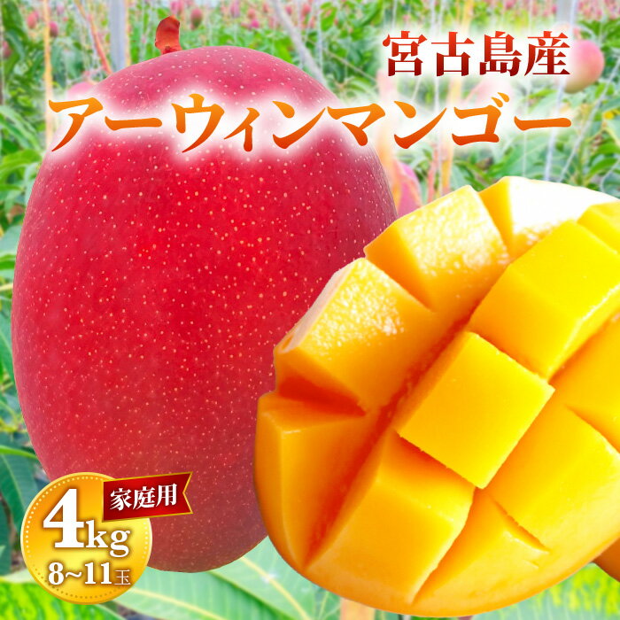 【ふるさと納税】家庭用 宮古島産マンゴー4kg ＜リトルグローブ＞（LT005）