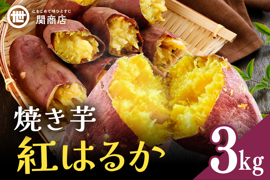 【期間限定】 関商店 焼き芋 紅はるか 3kg 国産 茨城県産 砂糖不使用 焼き芋 やきいも 焼芋 焼きいも べにはるか ベニハルカ 甘い 柔らかい 安心 安全 品質 食味 おやつ 62-H ＜2026年4月20日まで受付＞