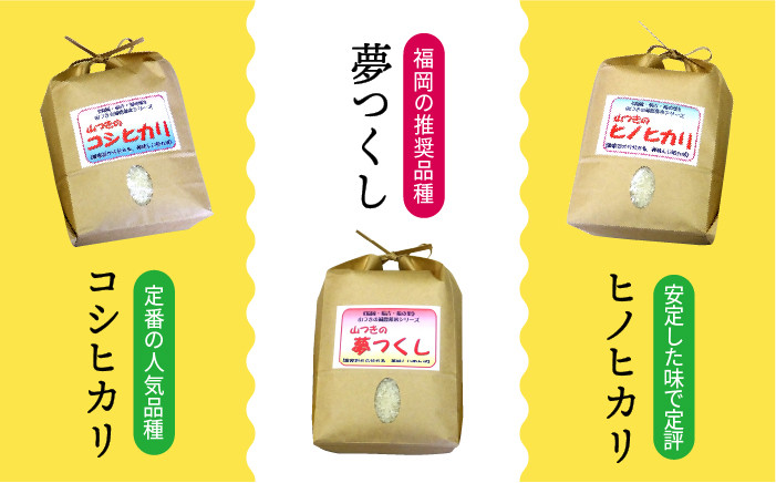 減農薬米！自然豊かな糸島産の山つきのお米です