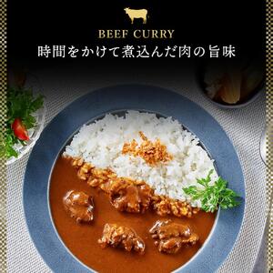 「星空の黒牛」カレー・シチュー・スープカレーセットB 6食　|  スープカレー