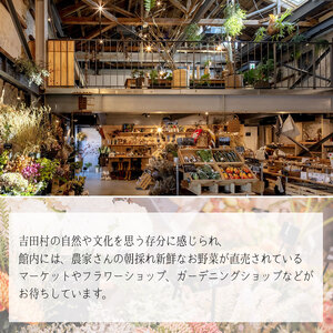 吉田村VILLAGE素泊まりファミリー宿泊券（6名様） | 栃木県 下野市