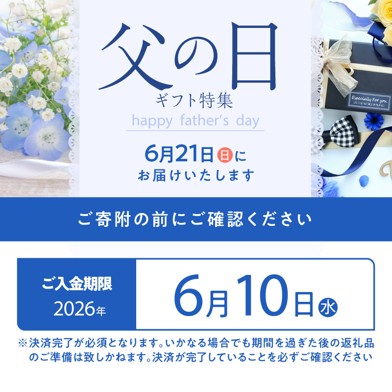 【父の日当日にお届け】VANILLABEANS ショーコラ＆パリトロ 8個入 父の日ギフト TV紹介 チョコサンド チョコ クッキーサンド 焼菓子 スイーツ 洋菓子 プレゼント 贈り物 横浜 神奈川【