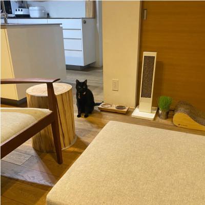 ふるさと納税 福岡市 ペットフードテーブル　carving SS 2連(福岡市内製造)(ガラスボウル付き) VL016 |  | 03