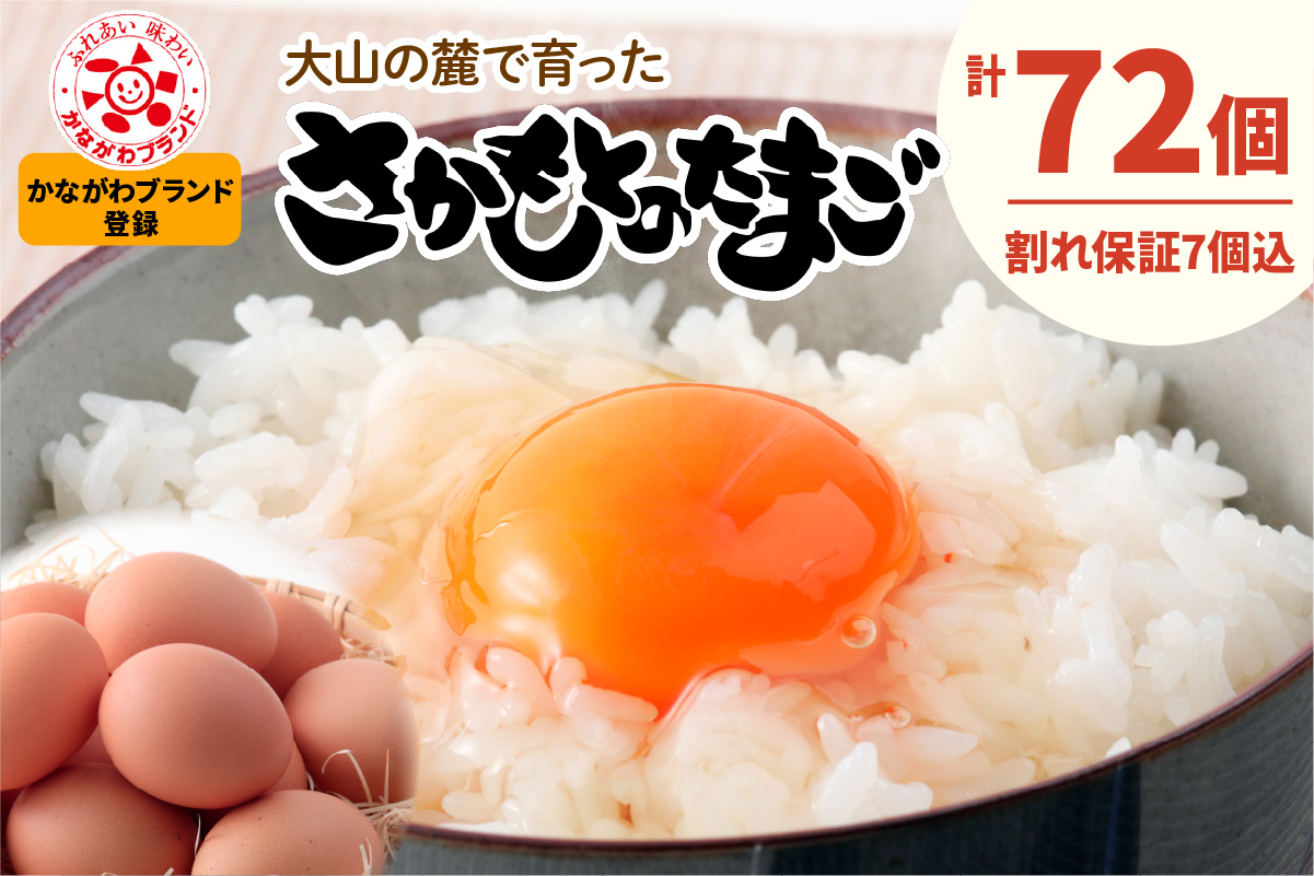 坂本養鶏 大山の麓で育った さかもとのたまご 72個 (65個＋割れ保証7個)｜伊勢原市 赤玉卵 玉子 鶏卵 生卵 国産 TKG タマゴ 新鮮 大山 鶏 ギフト 安心 安全 親子丼 卵焼き 目玉焼き お菓子 [1302]