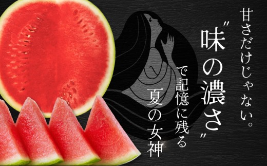 《2026年分受付中》『夏の女神』大玉！種が少なくて甘い黒皮スイカ1玉入（6～8kg）