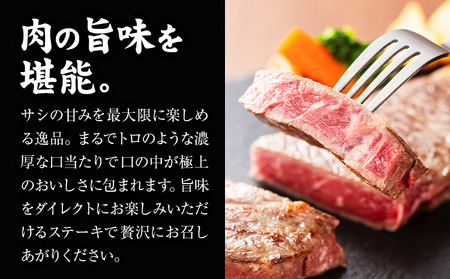 大川原高原牛 特選ロースステーキ 計1kg 冷凍便 肉の藤原 《30日以内に出荷予定(土日祝除く)》和牛 希少 大川原高原 牛肉 焼肉 ロース 牛肉 ステーキ 贅沢 バーベキュー BBQ キャンプ ギ