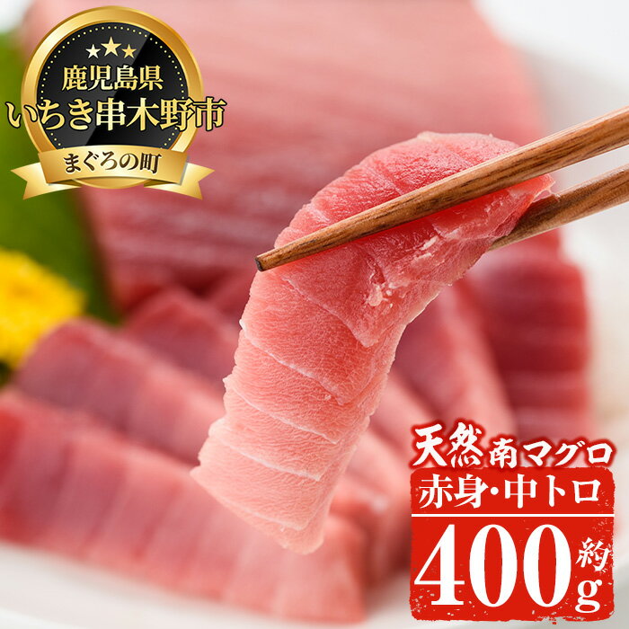 【ふるさと納税】南マグロ味わいセット！中トロと赤身の鮪の刺身用柵(計約400g) まぐろ 鮪 南まぐろ 南マグロ 中とろ 魚介 刺し身 刺身 刺身用 さしみ サク 海鮮丼 小分け 便利 冷凍 希少 新鮮【新洋水産】