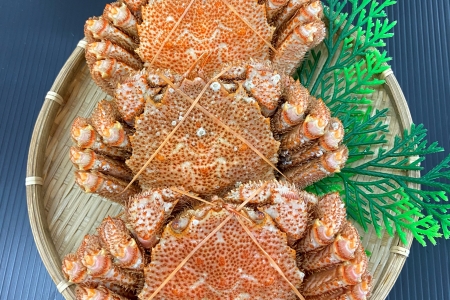 【12/31決済分まで1月中配送】 毛蟹600g×3尾 D-66013