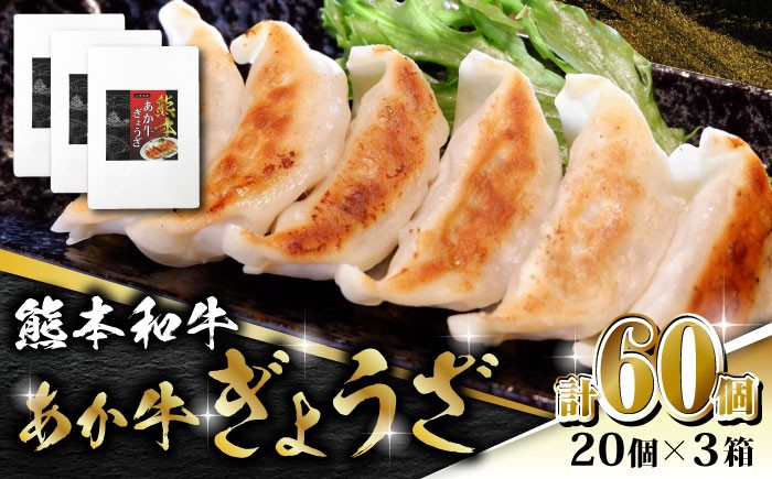 
                  熊本和牛 あか牛ぎょうざ 20個×3箱【有限会社 三協畜産】  赤身 赤牛 褐牛 あかうし 褐毛和種  冷凍 国産  餃子 ギョウザ 和牛  [ZEB043]
                