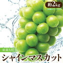 【ふるさと納税】【先行予約】厳選大粒 「シャインマスカット」 約2kg 35000円