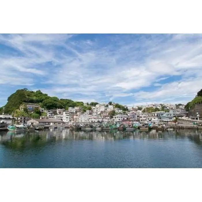 【和歌山市】JTBふるさと旅行券（450,000円分）有効期間5年 | 予約 宿泊 観光 体験 温泉 ホテル 旅館 チケット 子供 子連れ カップル 家族 店頭 電話 和歌山