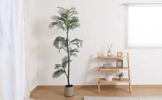 フェイクグリーン ジャカランダ 160cm （ CD：28056 ） お手入れ不要 インテリア 室内 おしゃれ リビング 玄関 オフィス 50 PM
