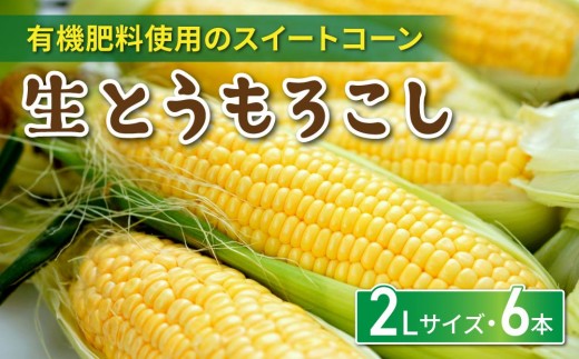 生とうもろこし 2Lサイズ 6本 有機肥料使用のスイートコーン！ 長野県東御市産｜天然アロマ工房Pono ※7月上旬から順次発送予定※発送日指定不可