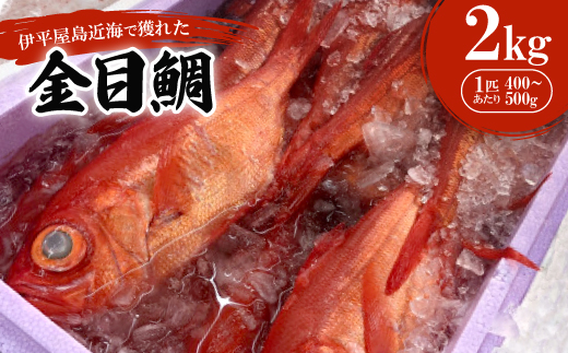
                  伊平屋島近海で獲れた金目鯛2kg【1499834】
                
