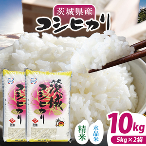 【数量限定】【令和7年産】茨城県産コシヒカリ 10kg(5kg×2袋) 【お米 ごはん こしひかり  おにぎり ごはん 茨城県 水戸市】(NQ-2)