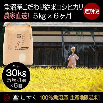 ふるさと納税 十日町市 【毎月定期便】魚沼産こだわり従来コシヒカリ 5kg(5kg×1袋)×6回 合計30kg全6回