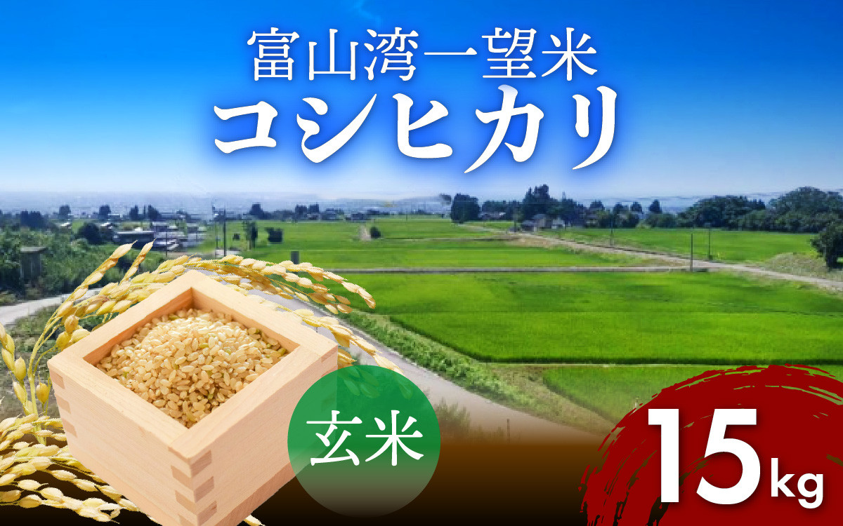 
                  新米 富山湾一望米　コシヒカリ 玄米 【容量15kg】【順次発送中】農家直送 米 定期便 選べる 玄米 富山県滑川産お米 産地直送 袋 ブランド米 お米 白米 こしひかり
                