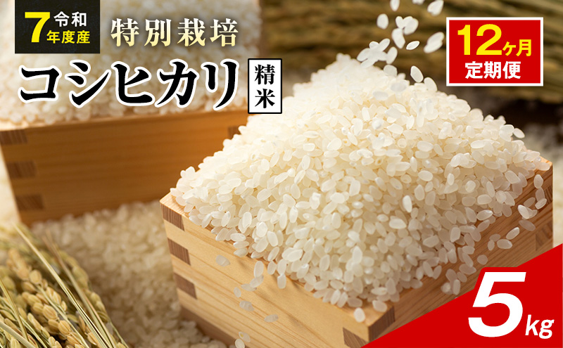 令和7年産 特別栽培米 コシヒカリ 白米 5kg 静岡県産 色彩選別済 食に意識高い方へオススメ 12ヶ月定期便