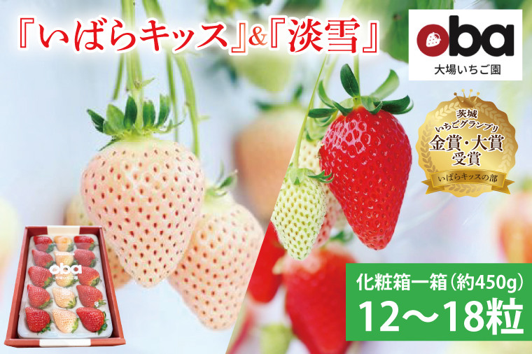 
【先行予約】【数量限定】茨城県オリジナル品種『いばらキッス』と希少なプレミアム白イチゴ『淡雪』紅白化粧箱一箱（12粒～18粒）【いちご 苺 フルーツ 果物 くだもの 水戸市 水戸 】（DO-2）
