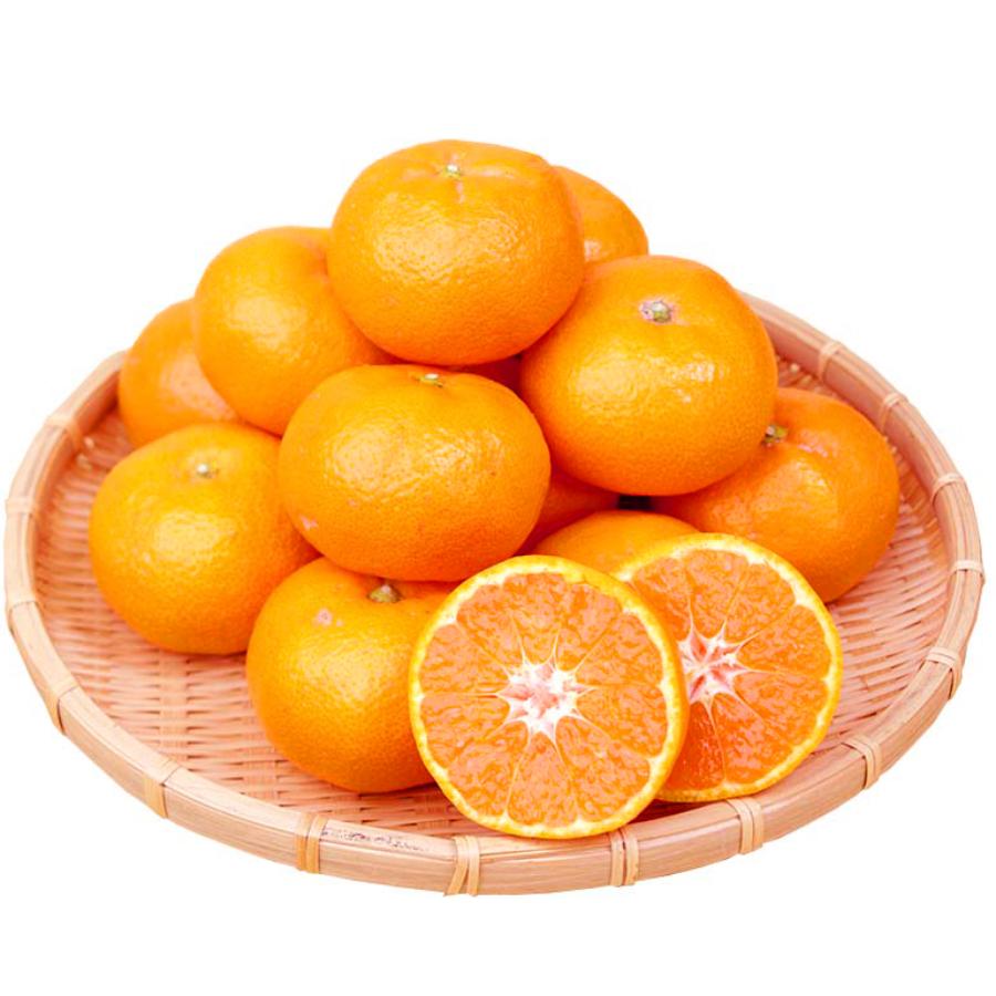 ＜魚鶴＞田村産「有田みかん」秀品（2S～Lサイズ）3kg