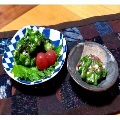 ふるさと納税 南九州市 産地直送 朝採れオクラ |  | 01