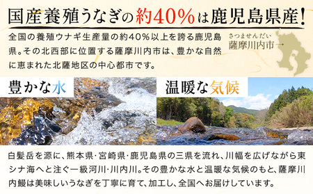 s731 ＼特大サイズ／ 鹿児島県産 鰻蒲焼真空セット！(計約1.1kg・約220g×5尾) タレ・山椒付！ 鹿児島 九州産 国産 うなぎ ウナギ 鰻 土用の丑の日 蒲焼き うな重 ひつまぶし 冷凍 