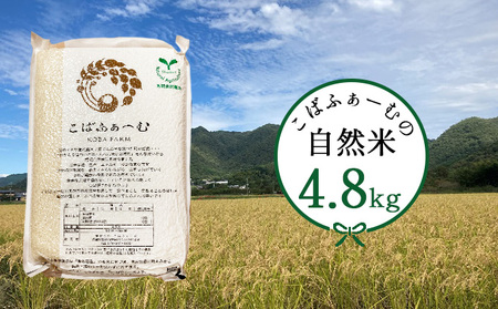 2026年1月中旬以降出荷開始【令和7年度産】こばファームの自然米 4.8kg 精米 プレミアム （秀明自然農法認証、有機JAS認証） お米 