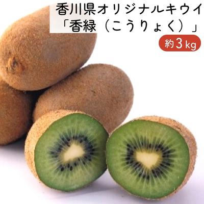 【ふるさと納税】香川県オリジナルキウイ「香緑（こうりょく）」約3kg 果実 キウィ 甘い 讃岐 フルーツ 果物詰合せ 　お届け：2025年11月下旬～2026年1月下旬