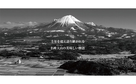 ＜大山物語＞　氷温®熟成 鳥取和牛焼き肉用 肩ロース500g