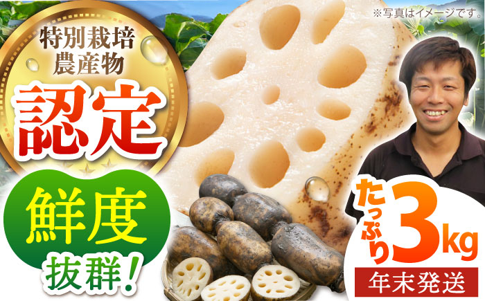 
【先行予約】【年末発送 ※12/25〜27発送】＜地元江北町産＞泥付き 蓮根 3kg【百武青果】 [HAE015]
