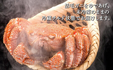 【先行予約】北海道オホーツク産海明け活毛ガニ　ボイル未冷凍配送(チルド 冷蔵配送)　700g前後　1尾（2026年3月下旬から発送予定）_05669