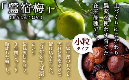 徳重おばあちゃんの3年熟成小粒梅干し1.5kg _MA-4905_(都城市) 紅梅 いのちの梅干し 3年熟成小粒梅干(500g×3個) 塩分12％ 長期熟成 自家農園 伝統農法 お弁当 おにぎり ごは