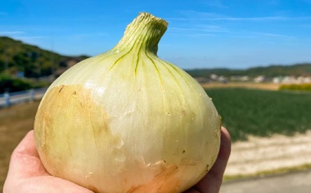 原田兄弟の一番玉ねぎ３kg
