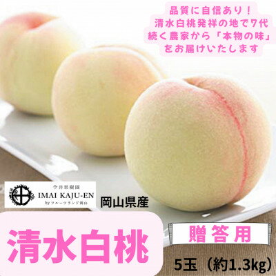 【ふるさと納税】【2027年発送】岡山県産清水白桃　5玉・約1.3kg_ 清水白桃 白桃 桃 もも モモ 1.3kg 5玉 高級桃 贈答 果物 くだもの フルーツ デザート 岡山県 津山市 産直 産地直送 ギフト プレゼント 送料無料 【配送不可地域：離島】【1614351】