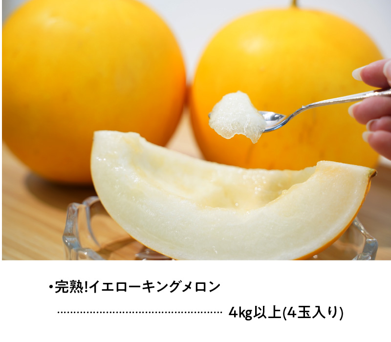 【2026年発送】完熟！イエローキングメロン 4kg以上（4玉入り） フルーツ 果物 甘い　H141-018