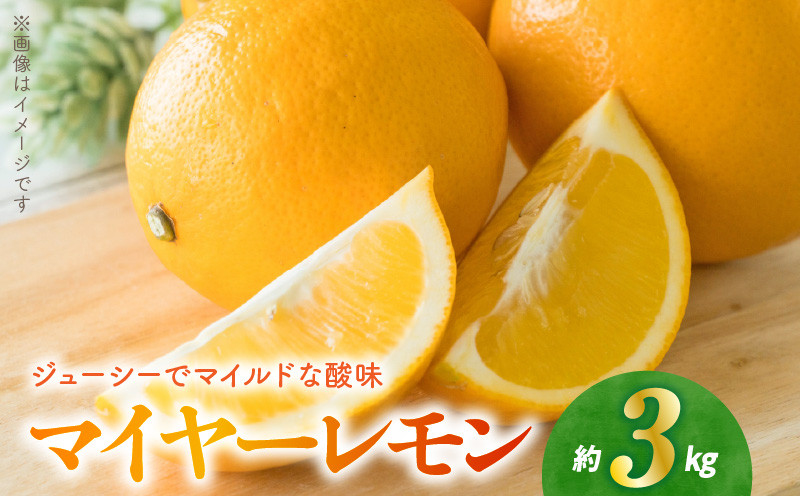 
                  【先行予約】福島オレンジ農園 マイヤーレモン 3kg _U54-0018
                