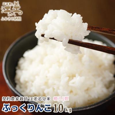 ふるさと納税 江差町 【令和7年新米先行予約】契約農家栽培 江差追分米『ふっくりんこ』【10kg】