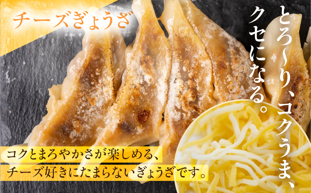 生ぎょうざ専門店「新家」の生ぎょうざ 創作ぎょうざ 4種類