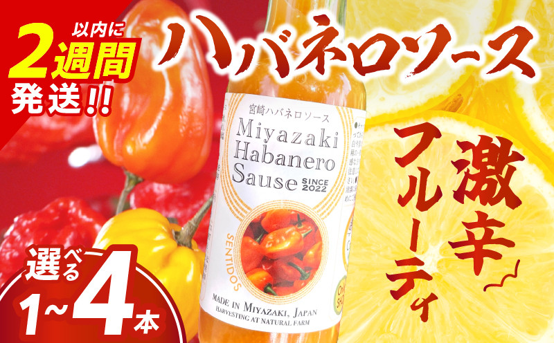 
爽やか激辛食感 フルーティなハバネロソース ≪本数が選べる≫ 数量限定 宮崎 ハバネロ ソース 1本 2本 3本 4本 激辛ソース 調味料 おすすめ 加工品 オリジナル ブレンド 肉料理 パスタ ピザ ギフト プレゼント 贈り物 お取り寄せ 宮崎県 日南市 送料無料_S-ZW1-24
