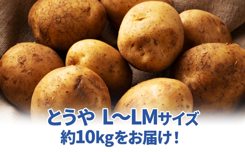 北海道 雪蔵 とうや  L～LM 約10kg 2026年2月中旬より順次お届